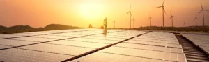 Ferox Energy Policy Expertise